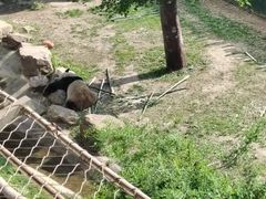 -沈阳森林动物园