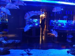 -上和臻品中国菜(花园街店)