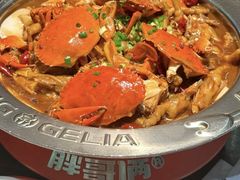 -胖哥俩肉蟹煲(世茂国际广场店)