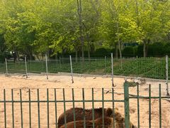 -秦皇岛野生动物园
