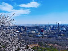 -白水寺森林公园