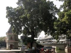 -广州永庆坊瞻云精选酒店