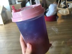 -Husky Go! 哈士奇体验馆·宠物咖啡厅狗咖