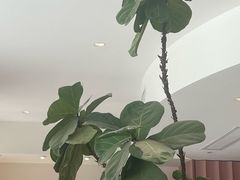 -蜜思琪蛋糕(民生路店)