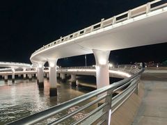 -演武大桥观景平台