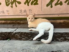 -鸣鹤古镇