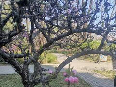 -玲珑塔公园
