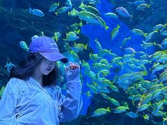 -海合安成都极地海洋公园