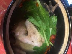 -国生茶庄·地道农家菜团建活动
