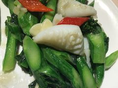 -琥珀·原创臻选店(维家思店)