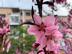 -北京和平里大酒店