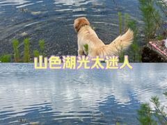 -丽江泸沽湖景区