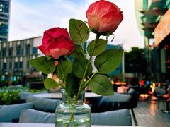 -叁 Three· bistro餐酒馆