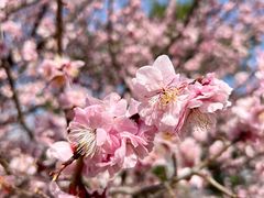 -鹫峰国家森林公园