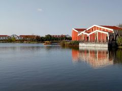 -上海长兴岛郊野公园