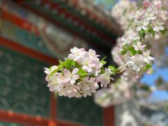 -海棠花溪(元大都城垣遗址公园)