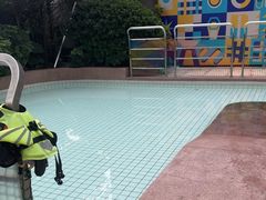 -帕帕拉兹宠物(亚洲旗舰店)