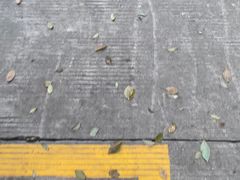 -苏州城市学院