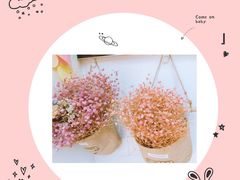 -金樱花寿司(舜玉小区南区店)