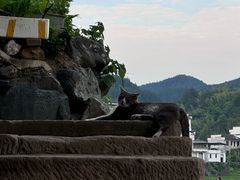 -渔梁坝