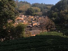 -杨家堂村