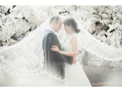 爱城婚纱摄影-爱城婚纱摄影·品质严选店