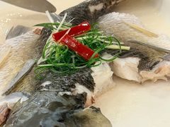 -寻味顺德·南记酒家·传统顺德菜·鱼生(广源路店)