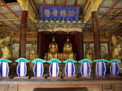 -藏山旅游风景区
