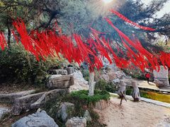 -徐州龟山景区