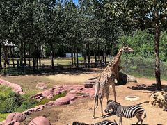 -大连森林动物园