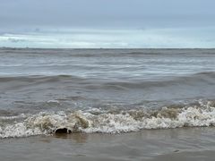 -东戴河风景区-止锚湾