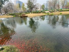 -成都市实验小学(人民中路校区)