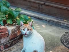 -西关84·History·Art·Cafe