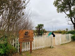 -上海崇明金茂凯悦酒店