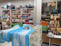 -唐小姐の私宠·宠物洗护美容·撸猫馆·购宠(周浦万达旗舰店)