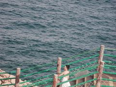 -广东惠东海龟国家级自然保护区