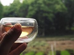 -野蔓果·山野菜(西湖景区·龙井茶田店)