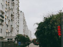-新江花园