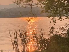 -西湖外事游船(花港观鱼码头)