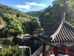 -双新垂钓园