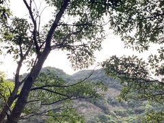 -宁波五龙潭景区