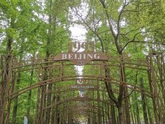 -东平国家森林公园