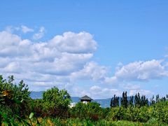 -永定河休闲森林公园