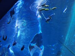 -波塞冬旅游度假区