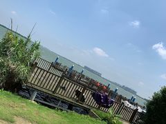-瑶湖郊野森林公园