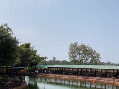 -侯臣咖啡文化村