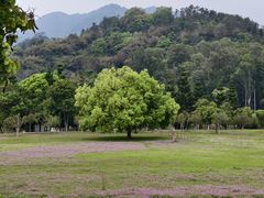 -福建鲤鱼洲酒店