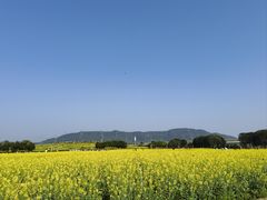 -光明小镇欢乐田园