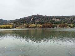 -长广溪湿地公园