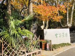 -灵谷景区